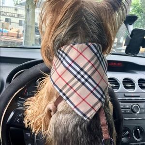 Fashionable Plaid Pet Bandana🐾🐾🐾🐾🐾🐾🐾🐾🐾🐾